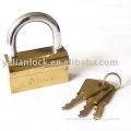 Unique type golden coated electronic lock